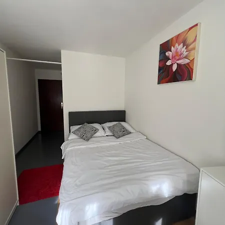 Süsse Nähe Der Aare Und Zentrum