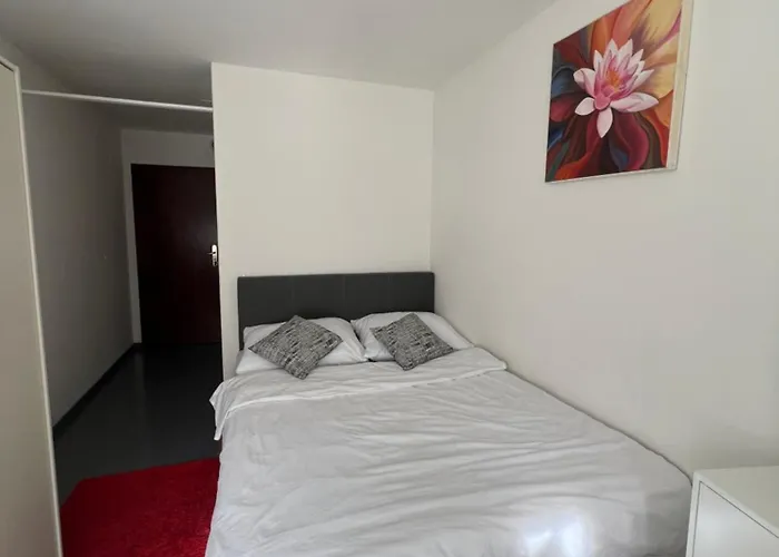 Süsse Nähe Der Aare Und Zentrum